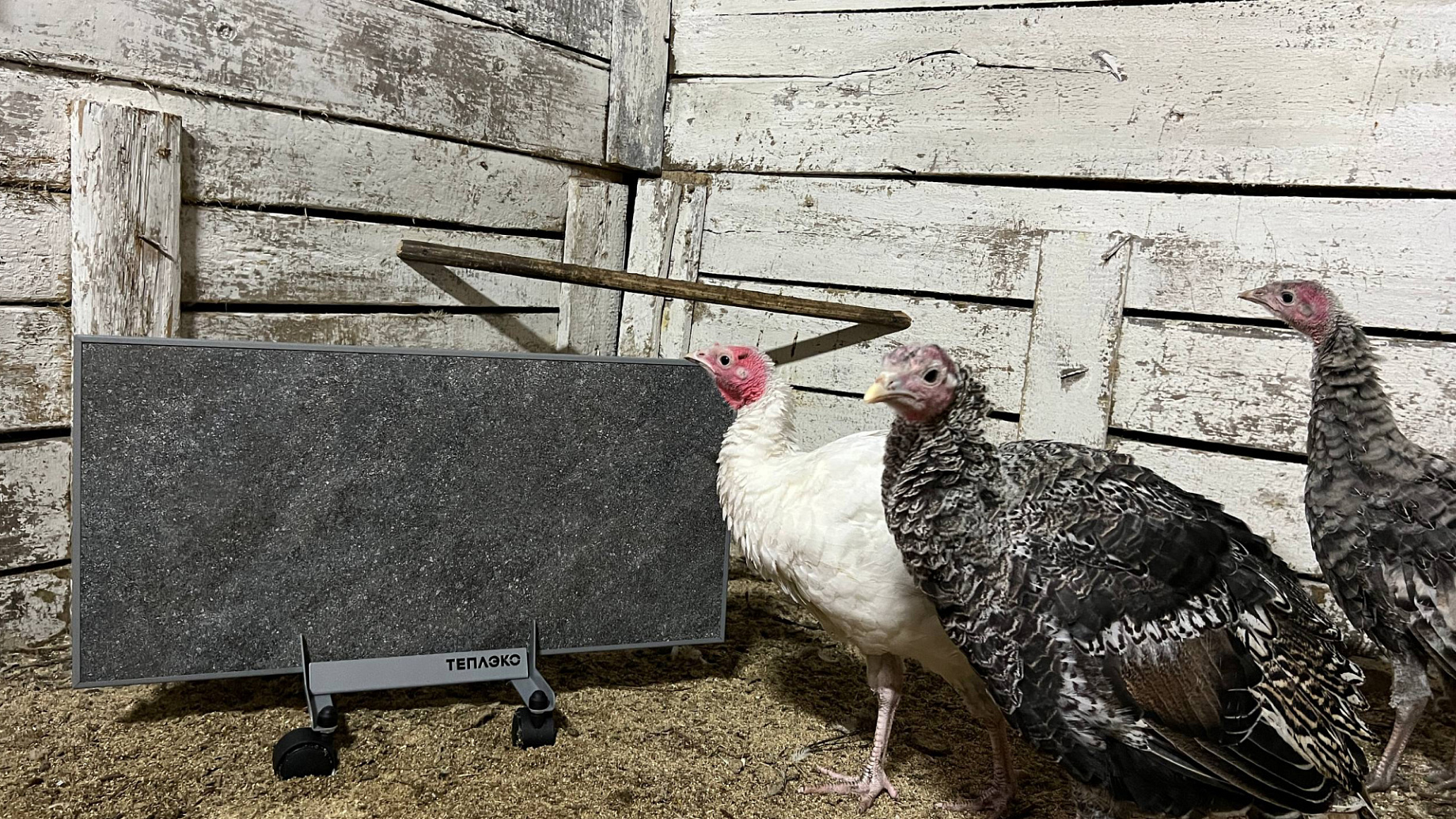 Керамический обогреватель ТеплЭко для коммерческих помещений: надежность и эффективность