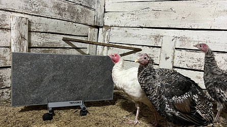 Керамический обогреватель ТеплЭко для коммерческих помещений: надежность и эффективность