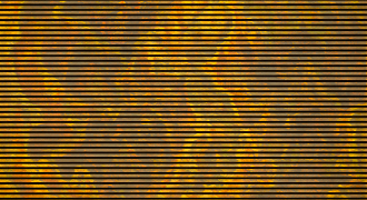 CSS-15